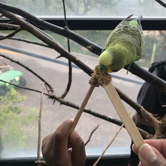 Meet your posher, Nakia - Picture 8 of 11